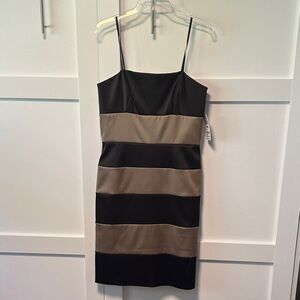Max & Cleo Black and Tan Striped Mini Dress